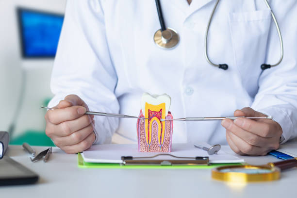 Best Cosmetic Emergency Dentistry in Silver Lake, OH